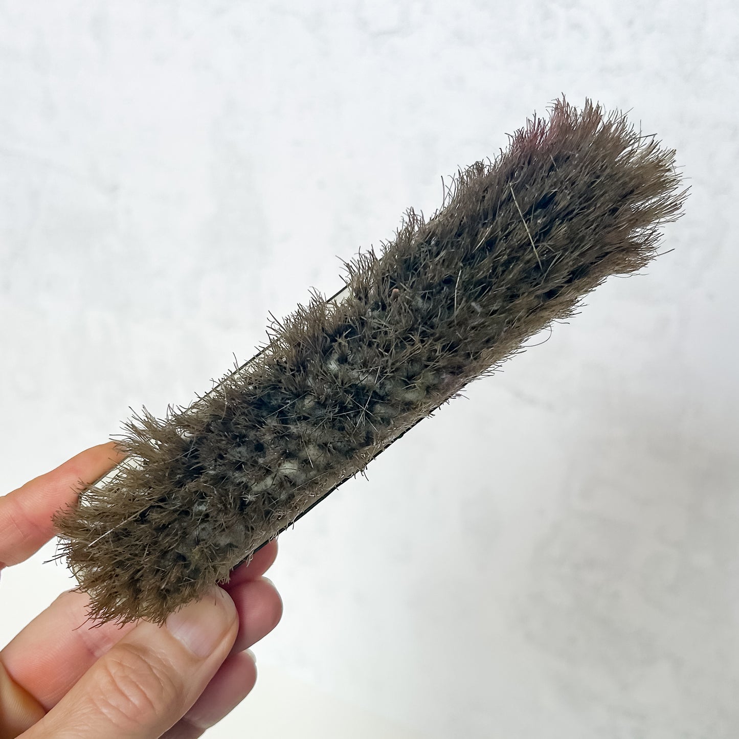 Vintage Art Deco Clothes Brush