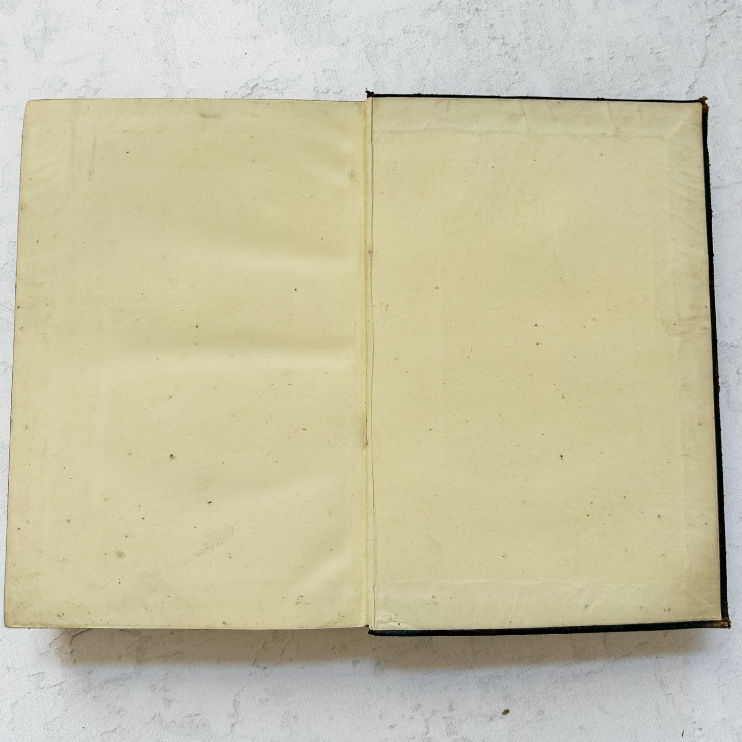 1881 Antique New Testament Leather Bound