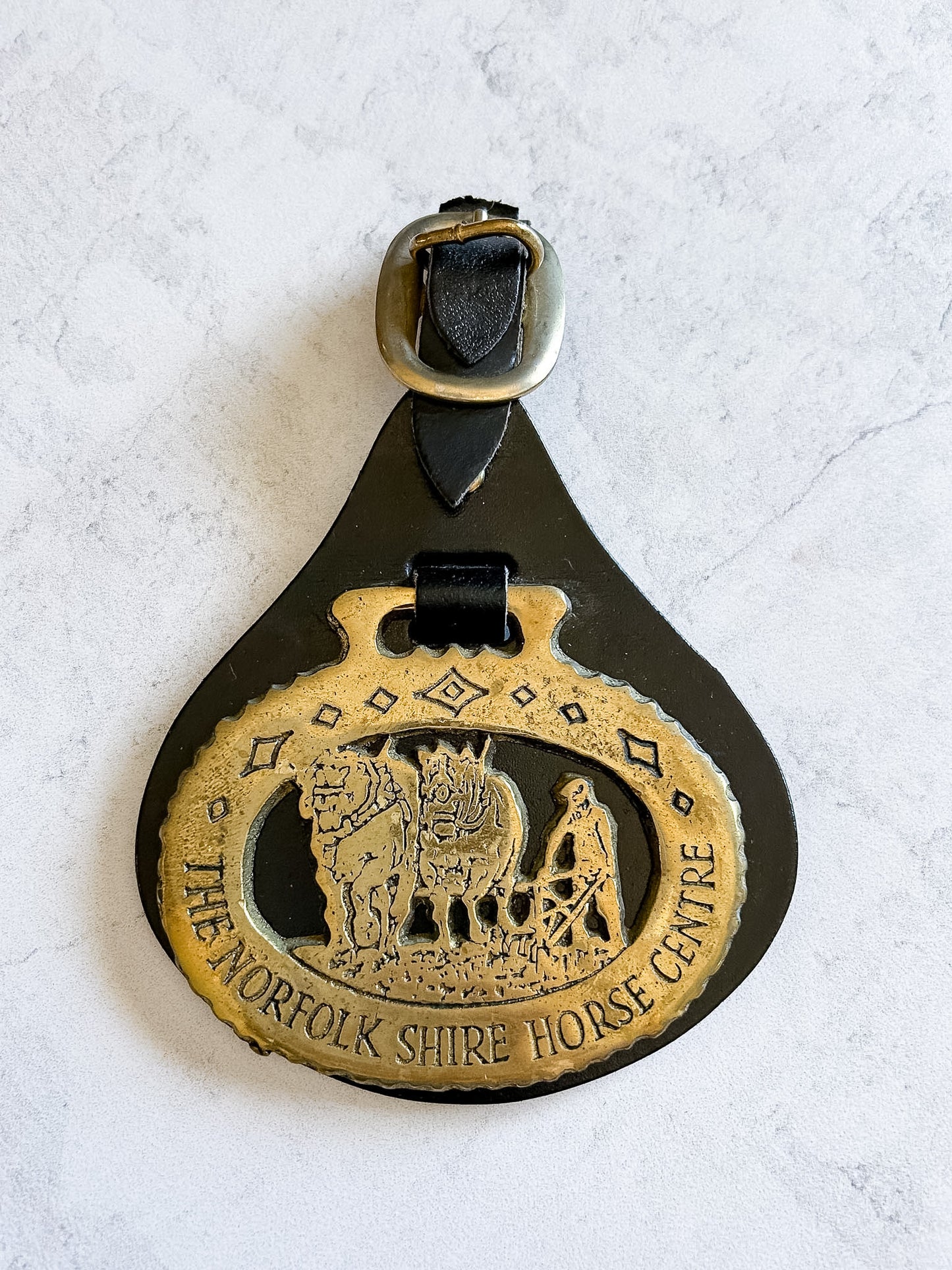 Vintage Norfolkshire Horse Brass on Leather