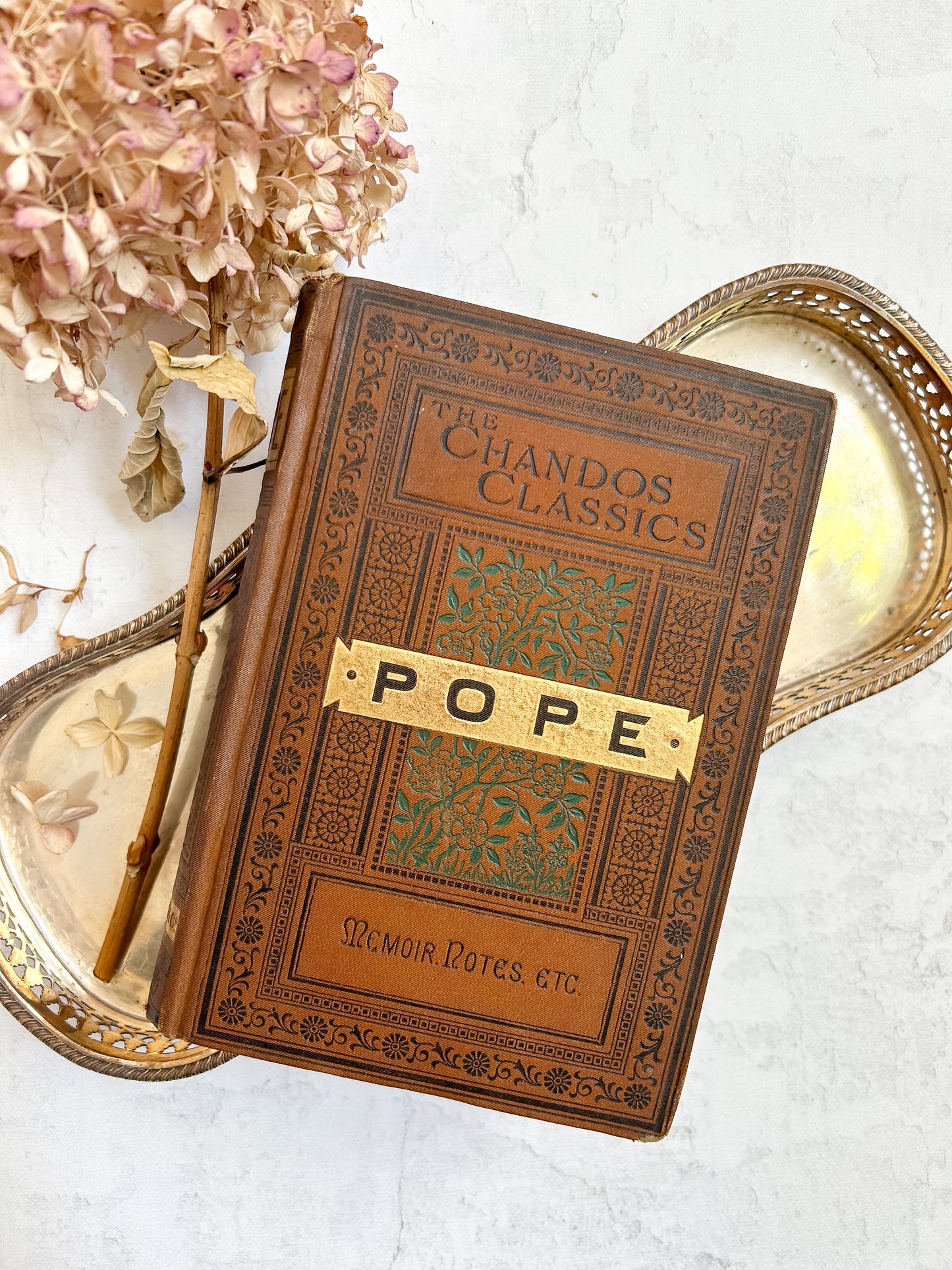The Poetical Works of Alexander Pope Antique Book