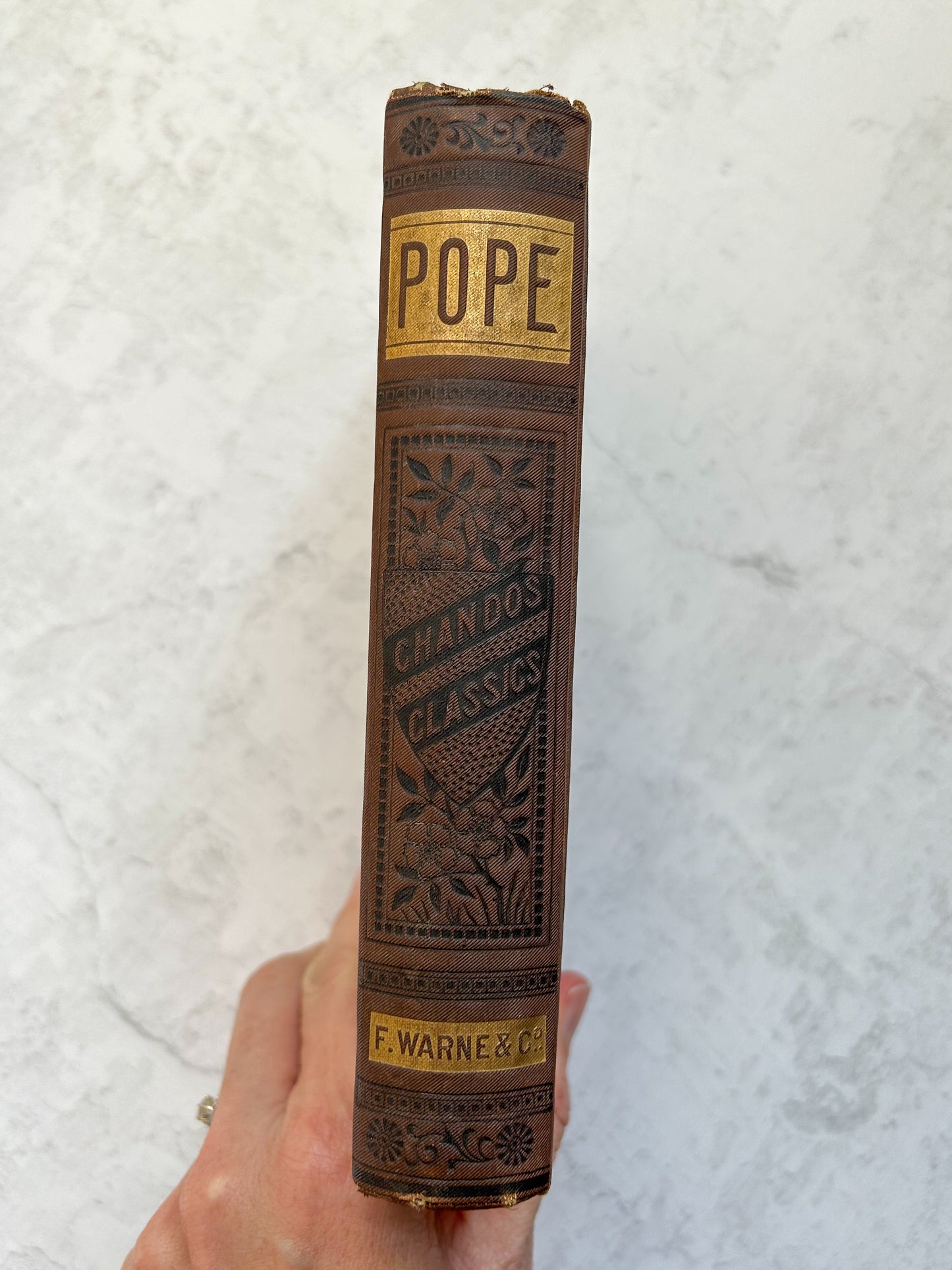 The Poetical Works of Alexander Pope Antique Book