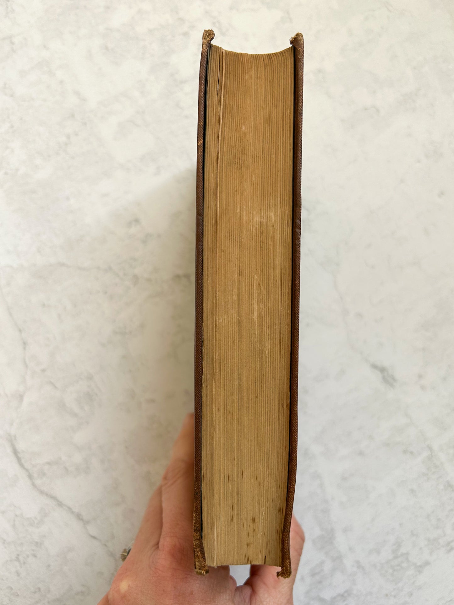 The Poetical Works of Alexander Pope Antique Book