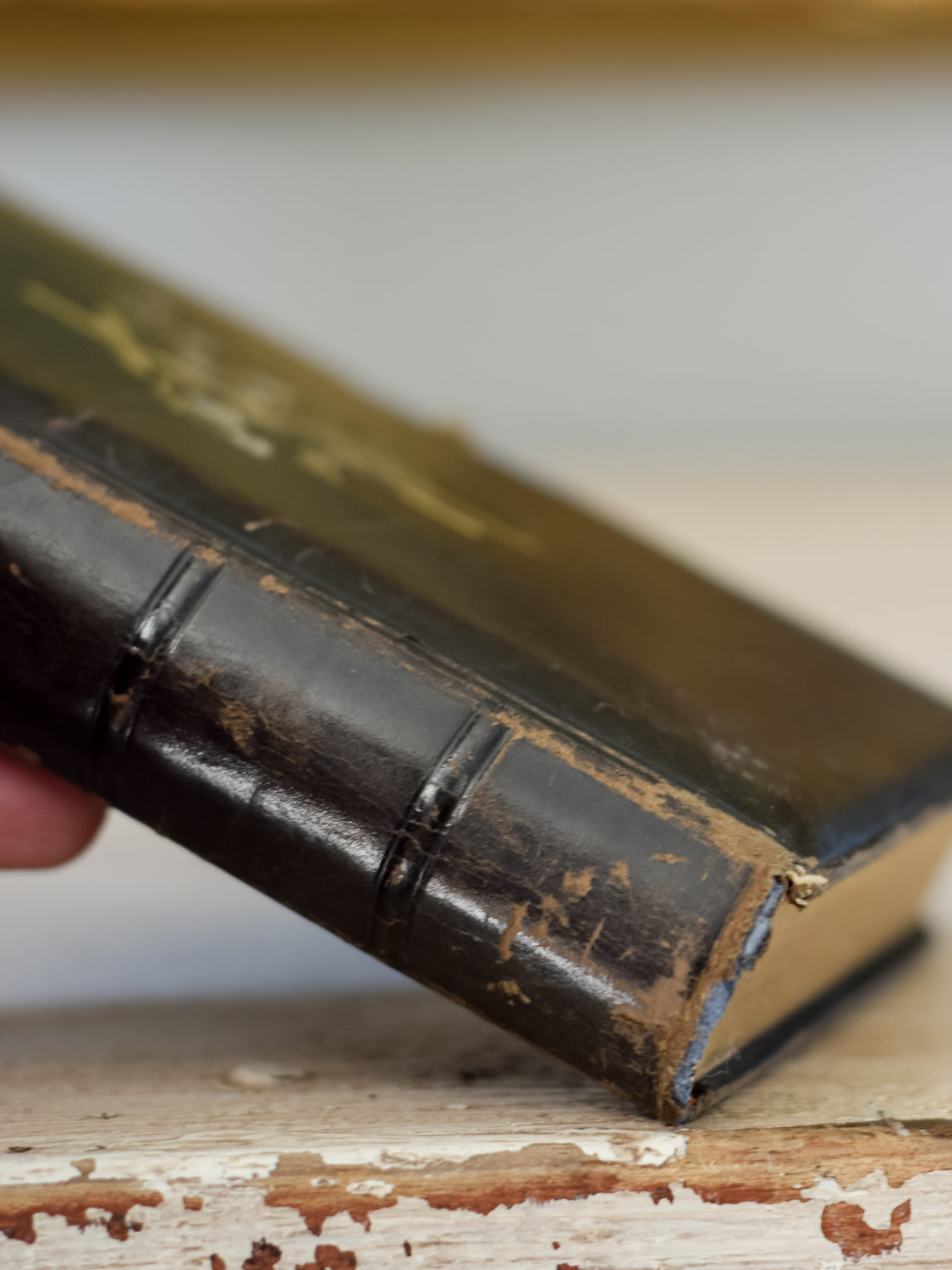 Antique Evangelical Lutheran Text Hymnal & Reader 1883