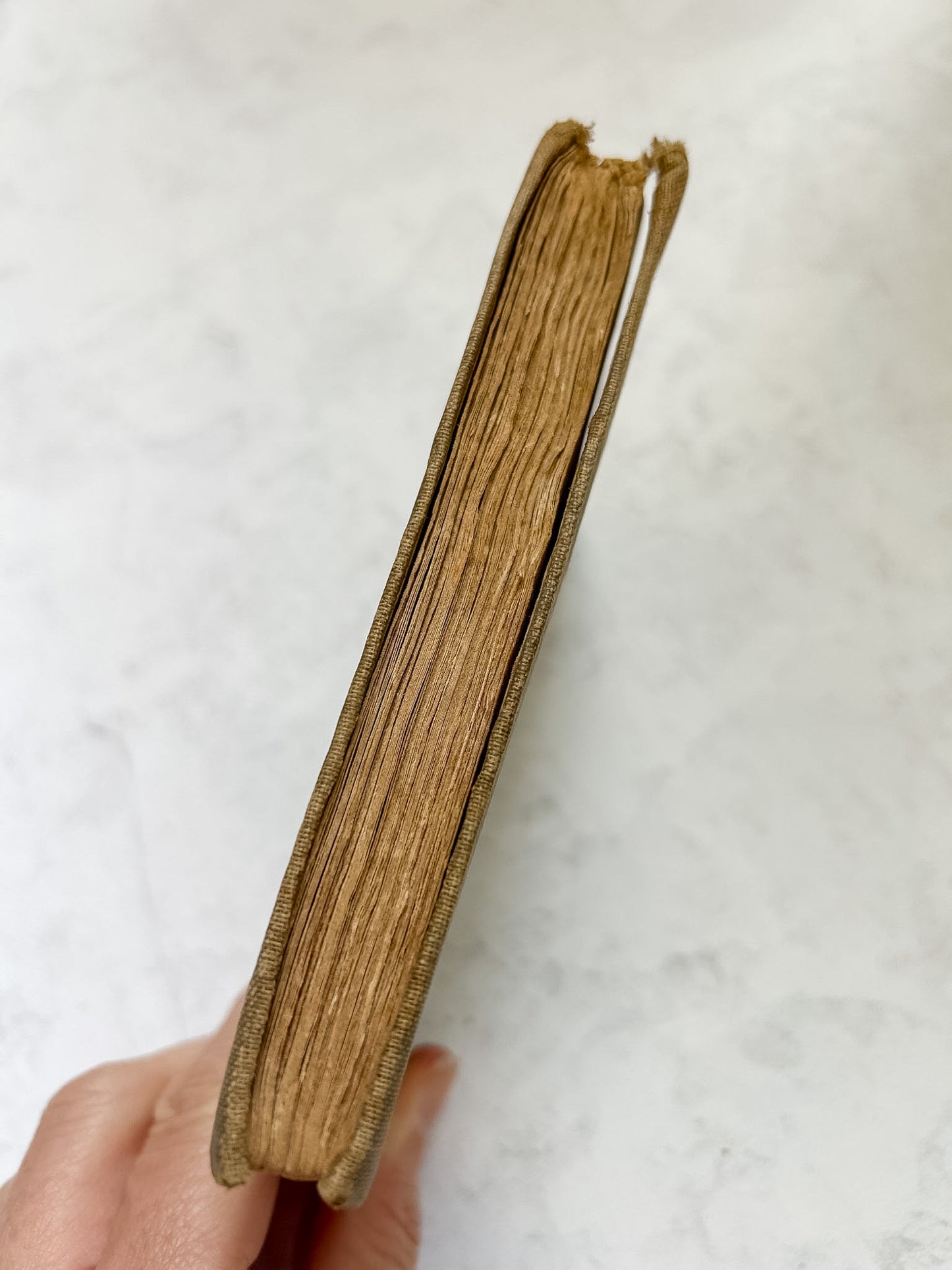 1913 The Book of Job, Modern Reader's Bible Series