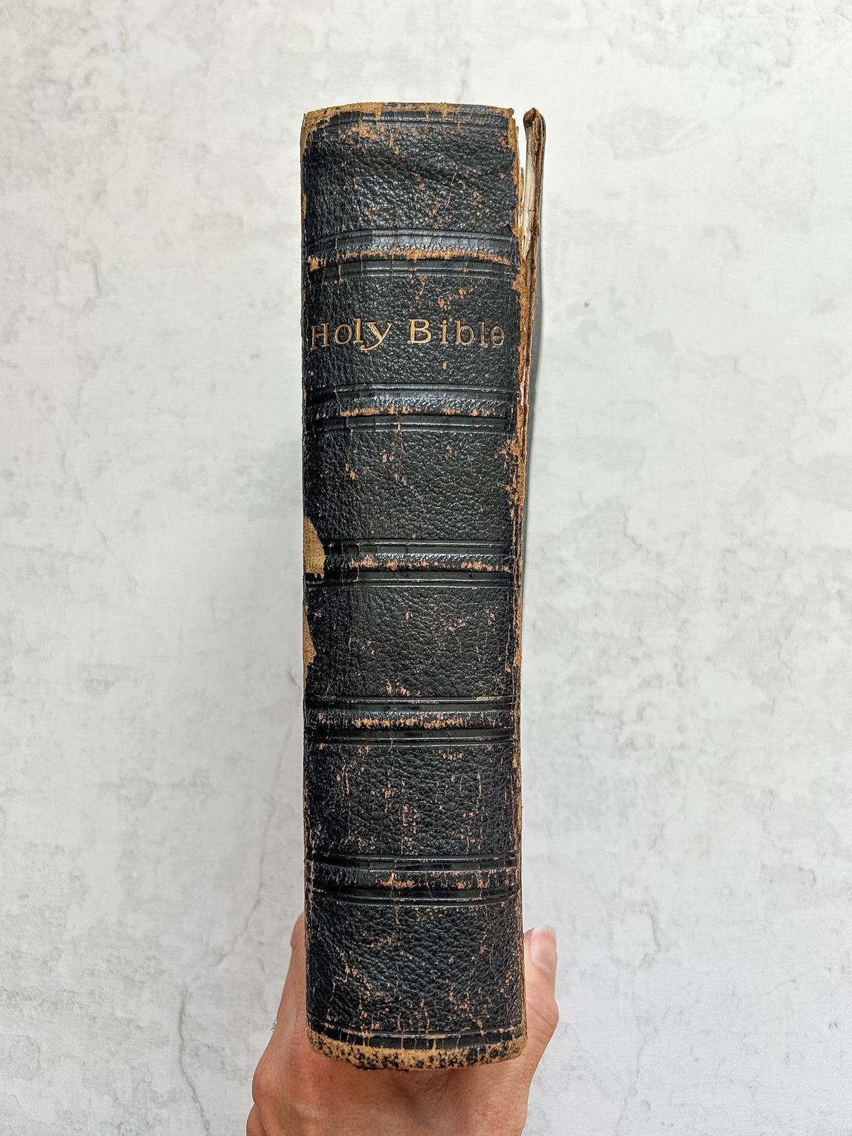 1877 English Leather Large Bible with Handwritten Inscription