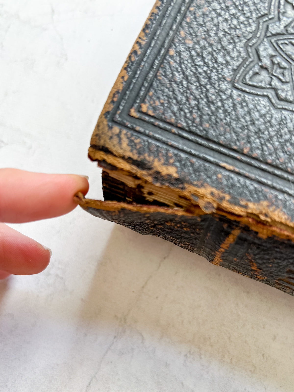 1877 English Leather Large Bible with Handwritten Inscription