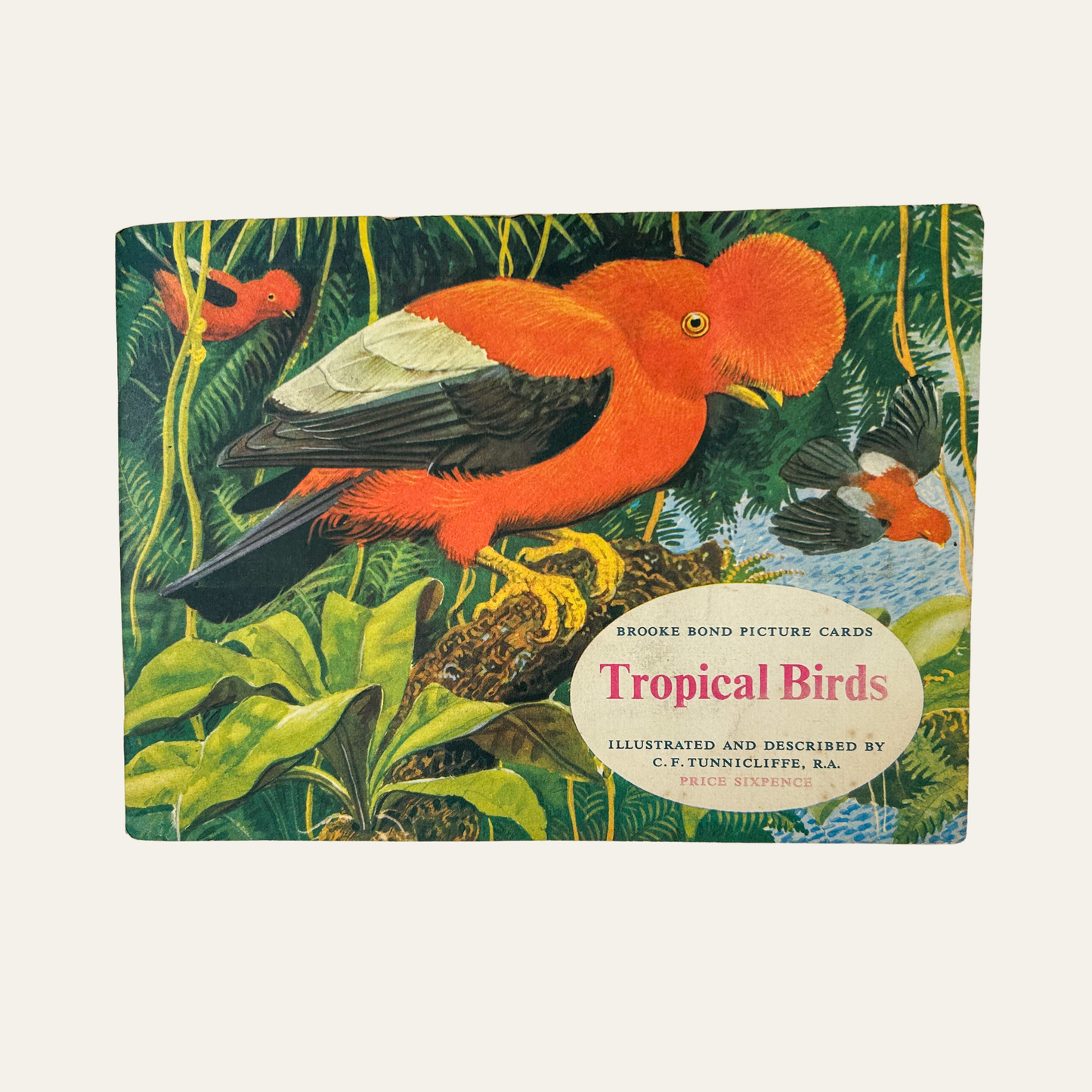 Vintage Brooke Bond Tropical Birds Tea Card Album – Complete Set