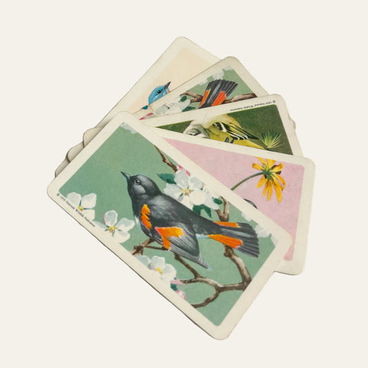 Set Vintage Brooke Bond Tea Cards Songbirds of North America