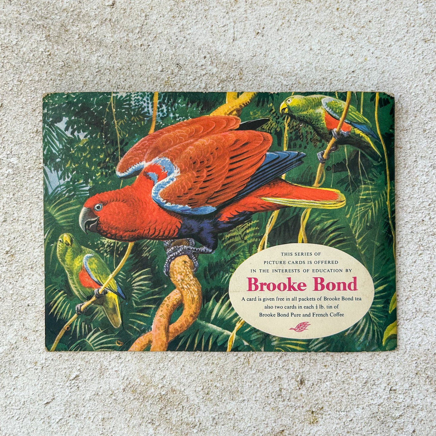 Vintage Brooke Bond Tropical Birds Tea Card Album – Complete Set