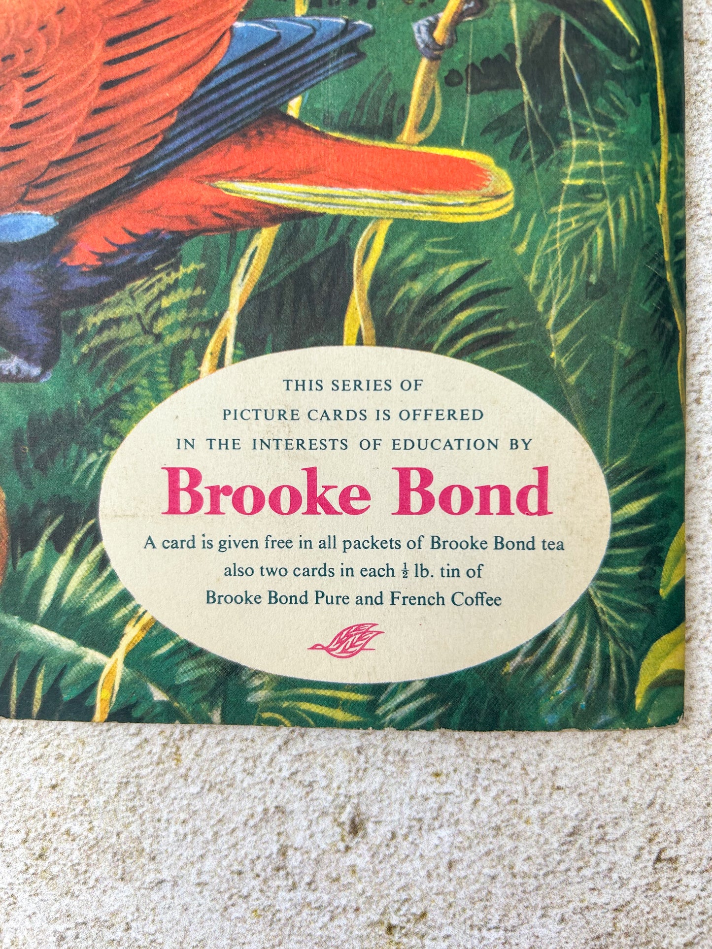 Vintage Brooke Bond Tropical Birds Tea Card Album – Complete Set