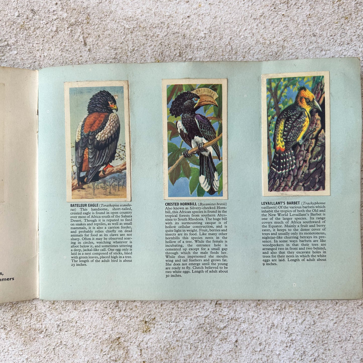 Vintage Brooke Bond Tropical Birds Tea Card Album – Complete Set