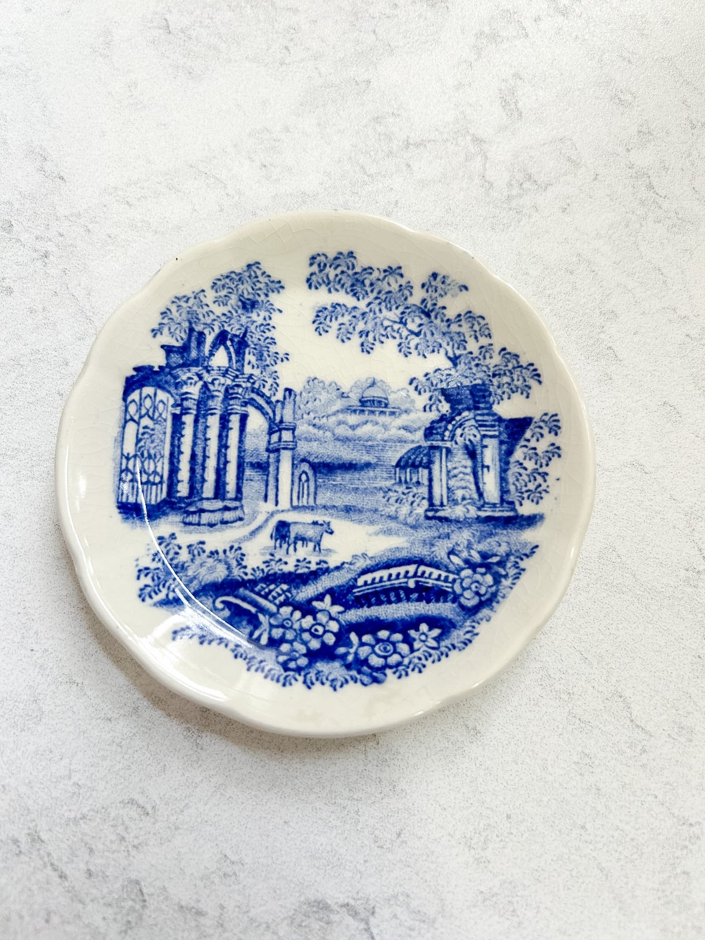 Antique English Ironstone Transferware Butter Pat