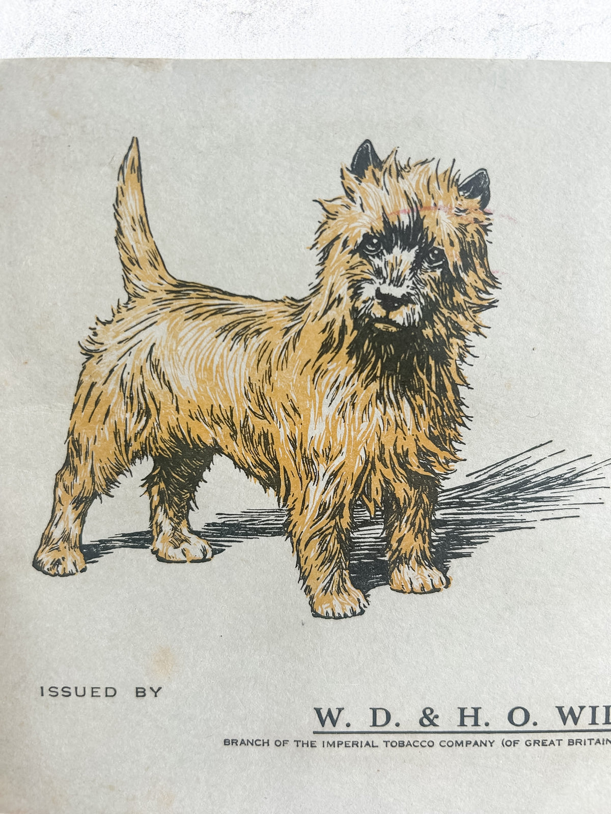 1937 Wills Complete “Album of Dogs” Cigarette Card Book