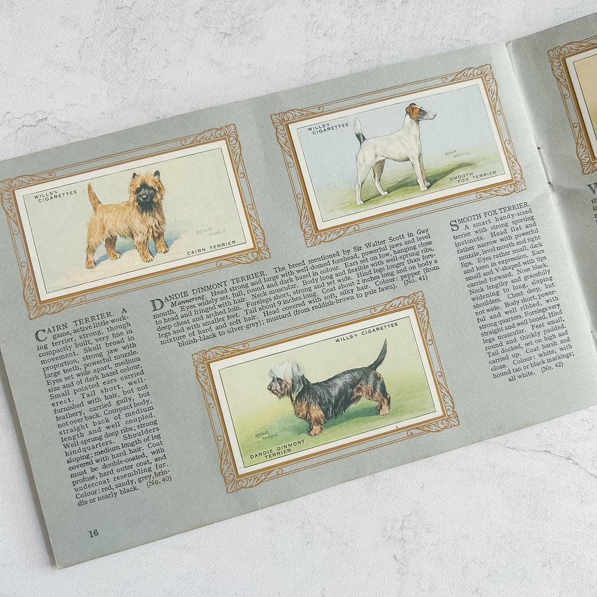 1937 Wills Complete “Album of Dogs” Cigarette Card Book