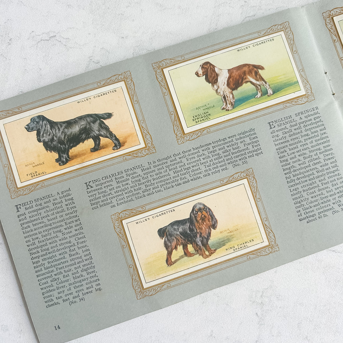 1937 Wills Complete “Album of Dogs” Cigarette Card Book