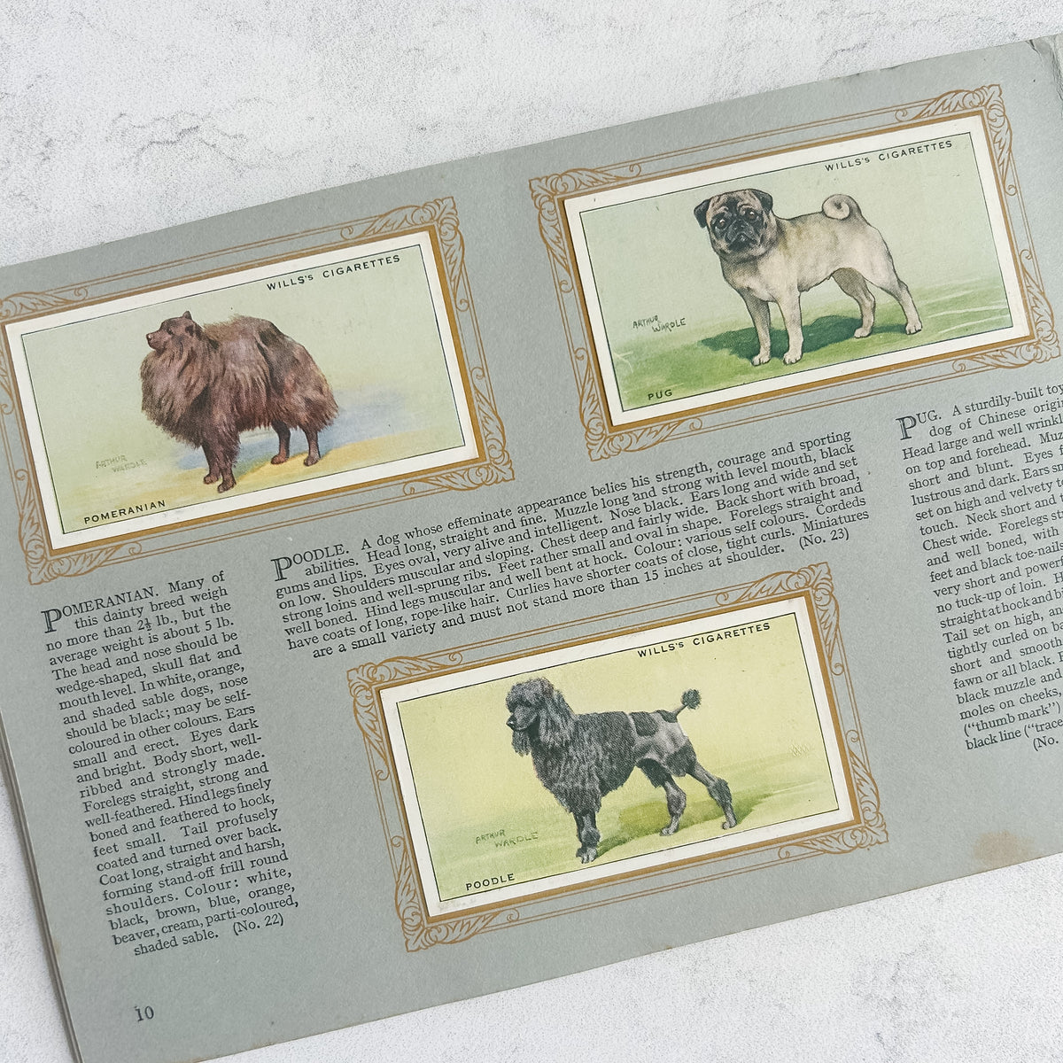 1937 Wills Complete “Album of Dogs” Cigarette Card Book