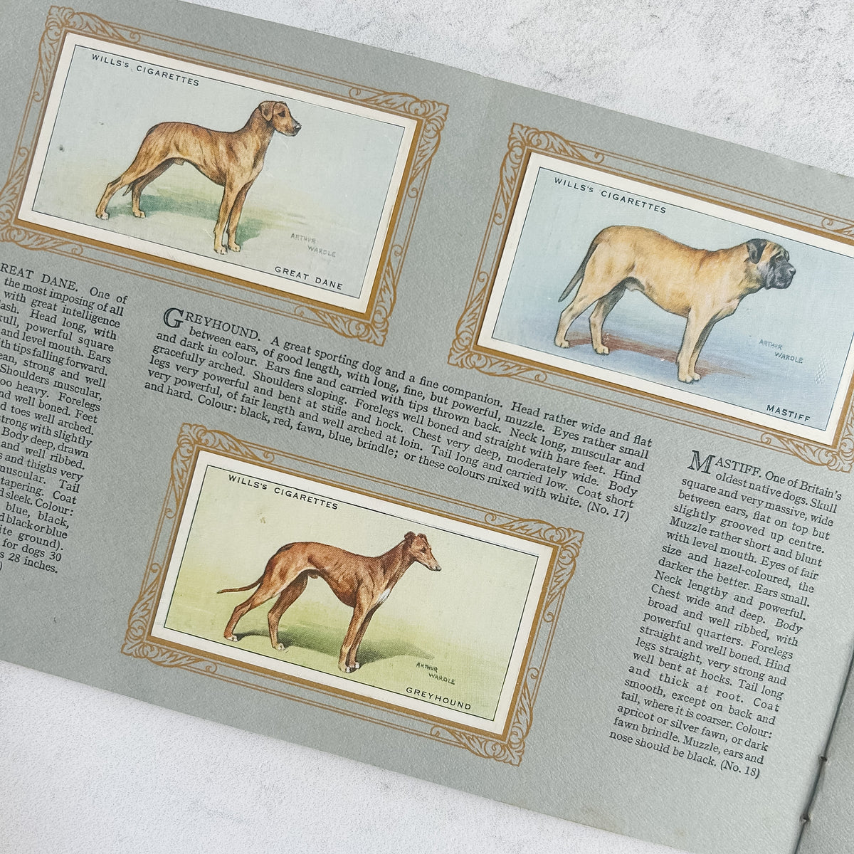 1937 Wills Complete “Album of Dogs” Cigarette Card Book