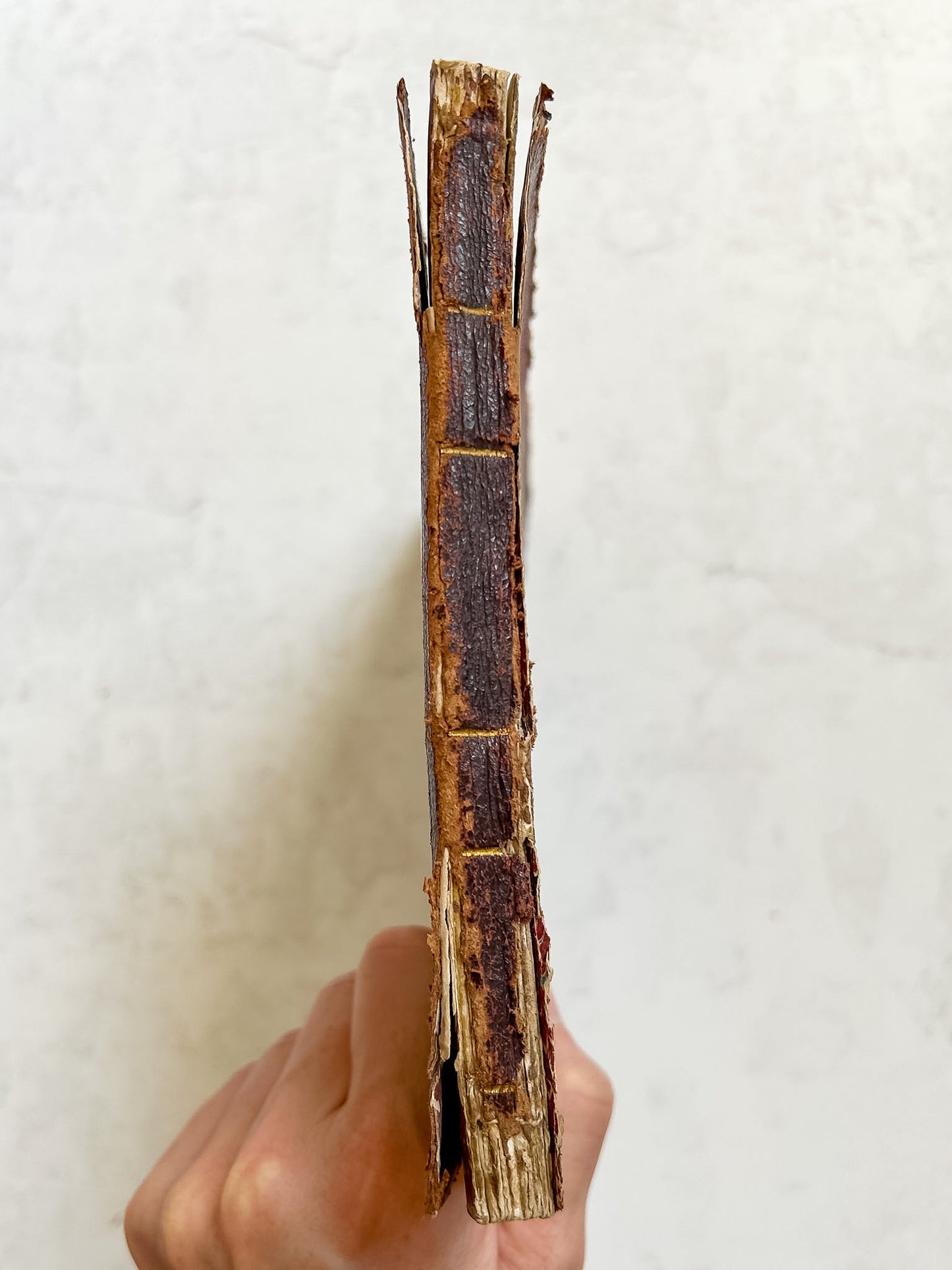 Antique Haydn's Mass Leather Bound Sheet Music Folio