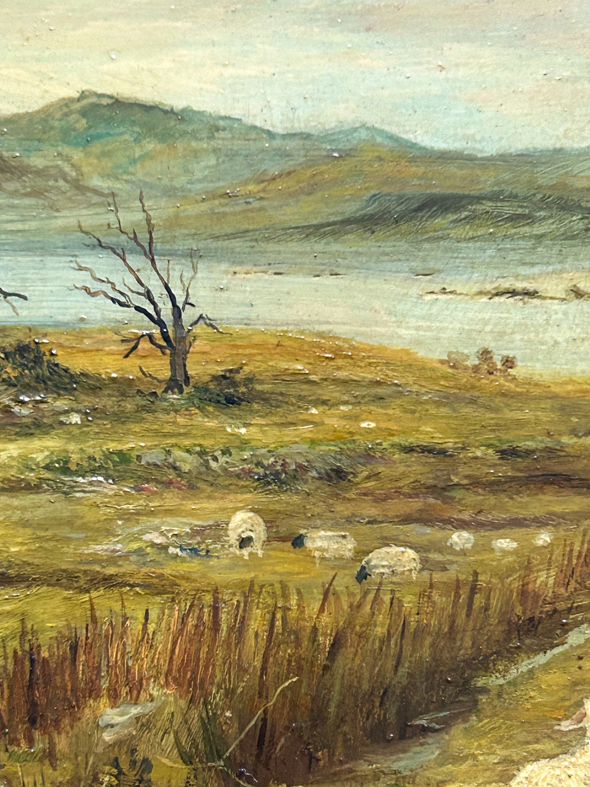 Vintage Oil on Board, English Pastoral Scene with Sheep