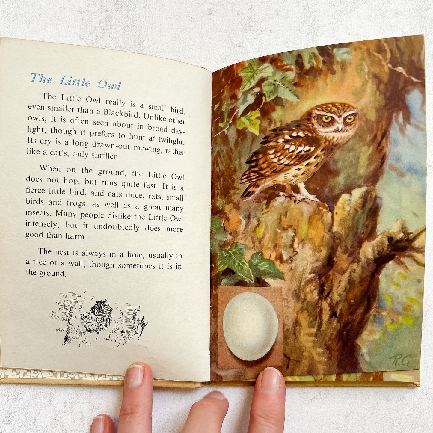 Vintage Ladybird Book "A Third Book of British Birds"