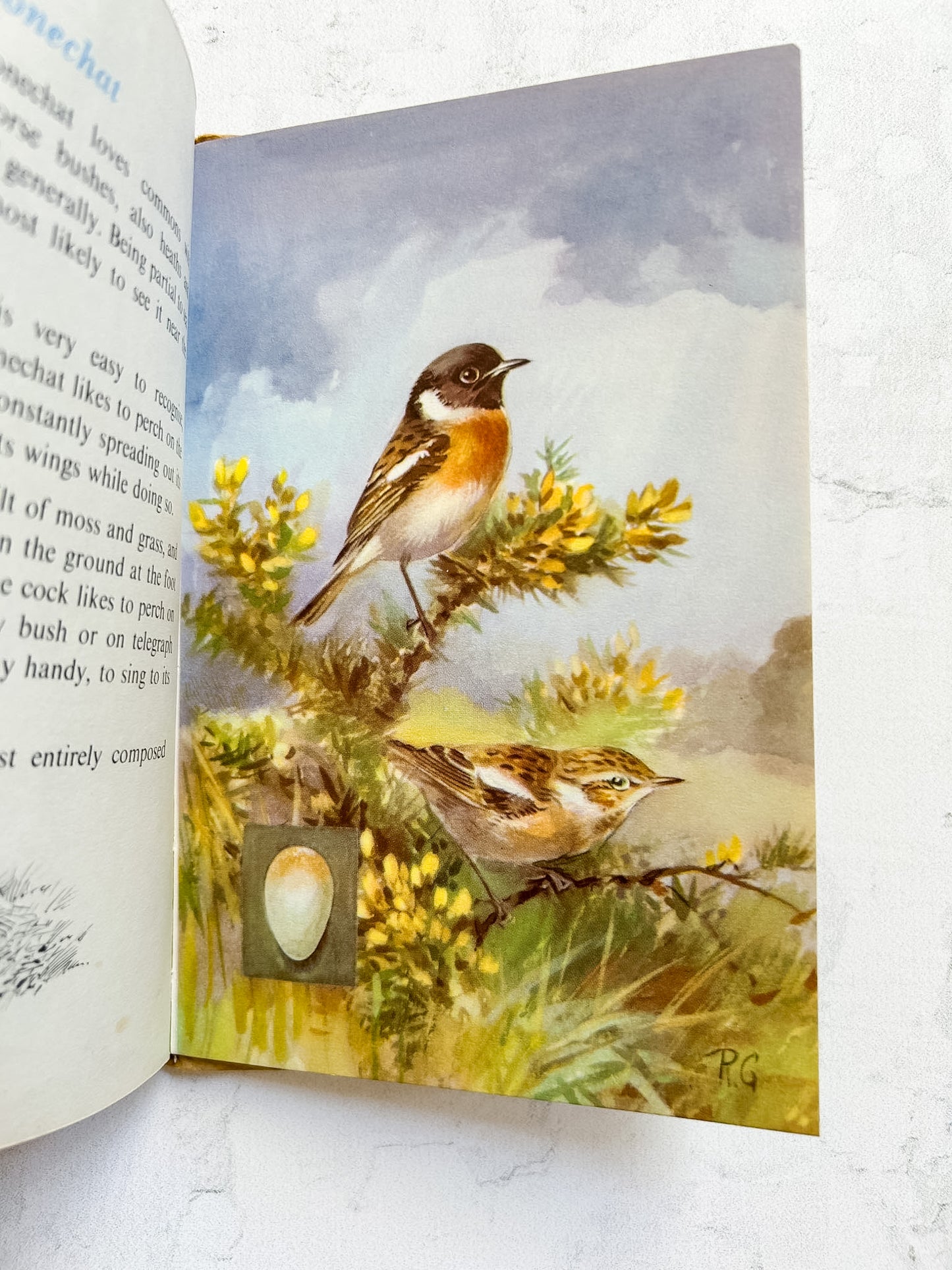 Vintage Ladybird Book "A Third Book of British Birds"
