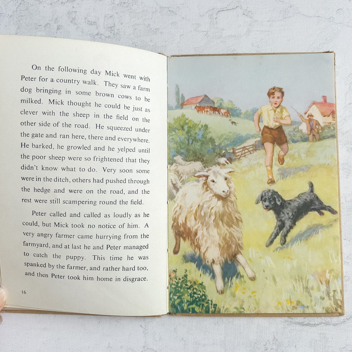 Vintage 1952 Ladybird “Mick the Disobedient Puppy” Book