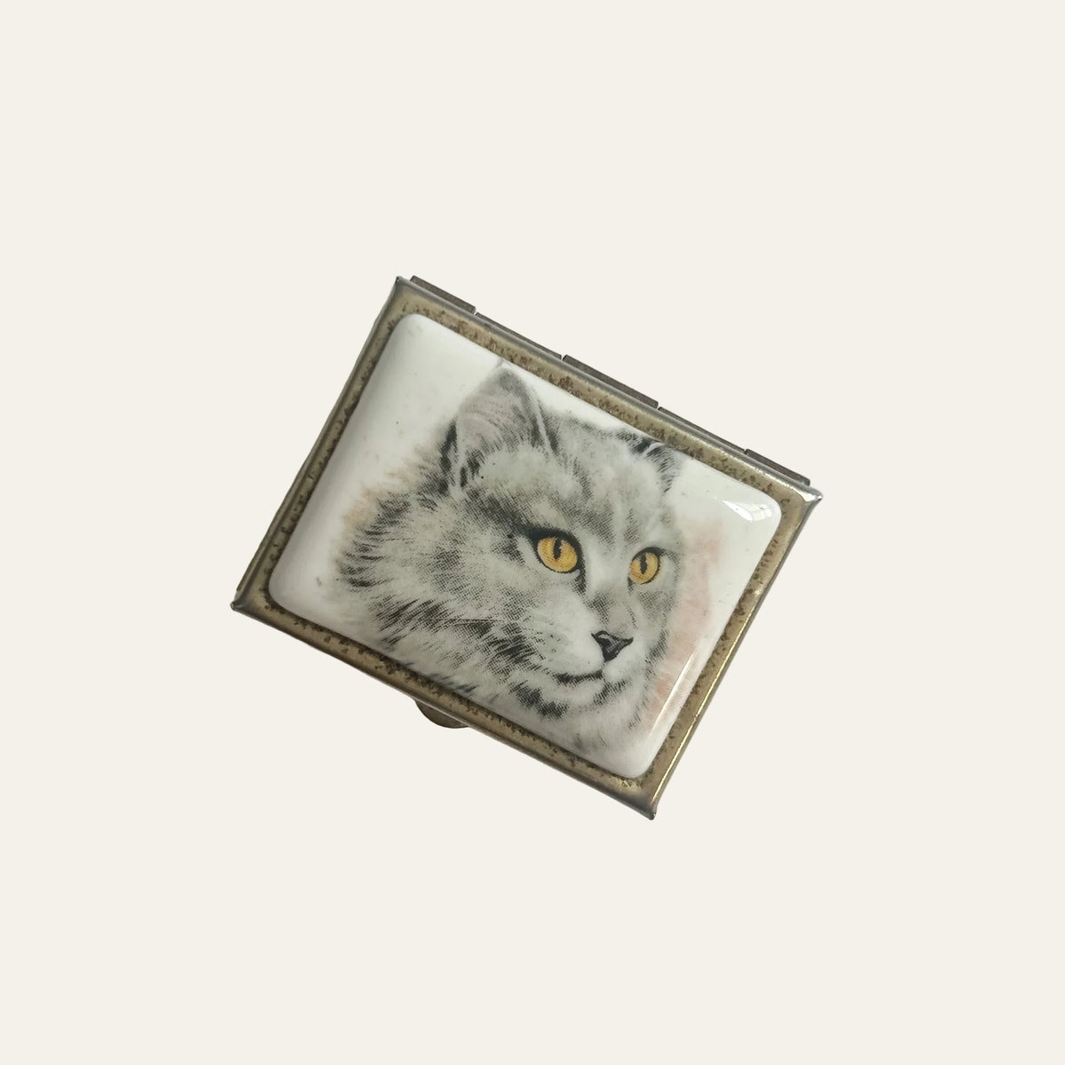 Vintage French Cat Portrait Pill Box