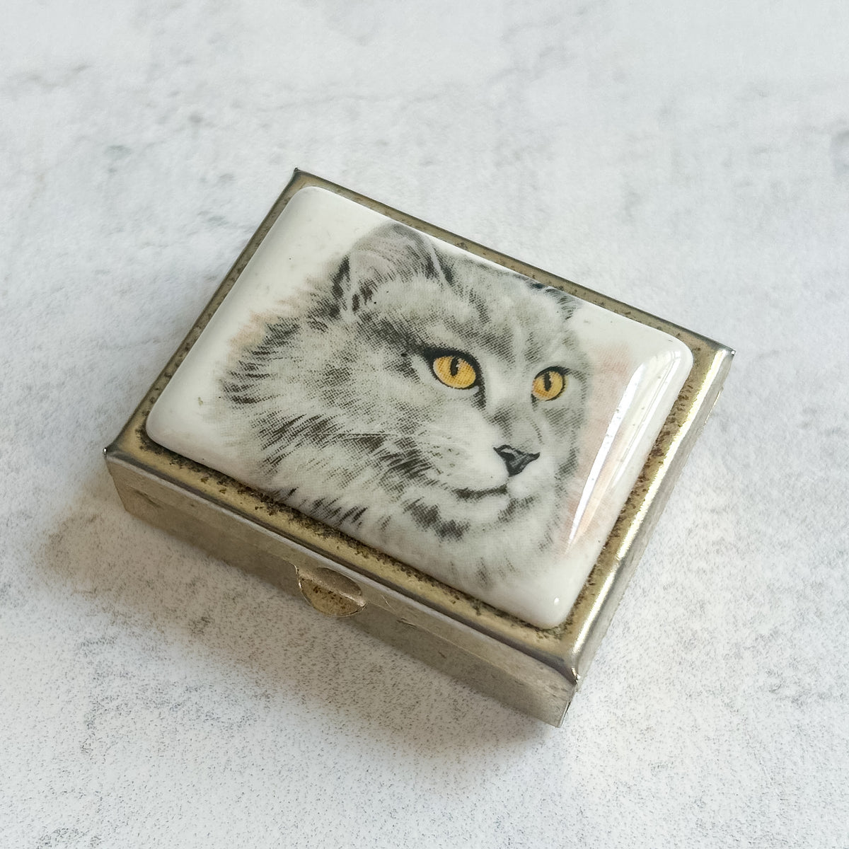 Vintage French Cat Portrait Pill Box