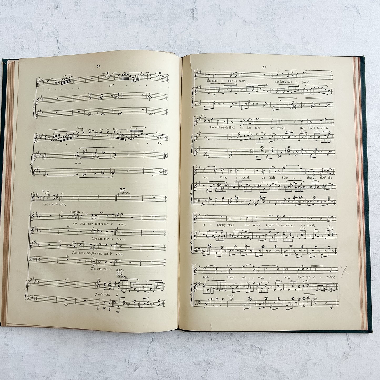 Antique Victorian Music Folio – The Swan and the Skylark by Arthur Goring Thomas | 1894