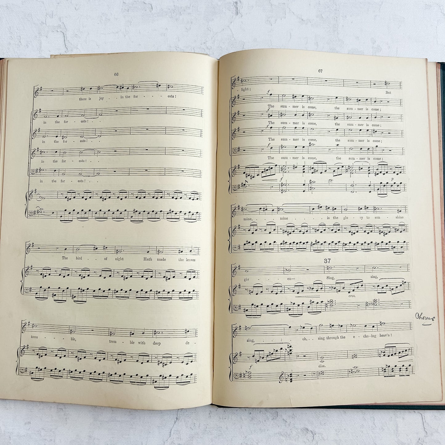 Antique Victorian Music Folio – The Swan and the Skylark by Arthur Goring Thomas | 1894