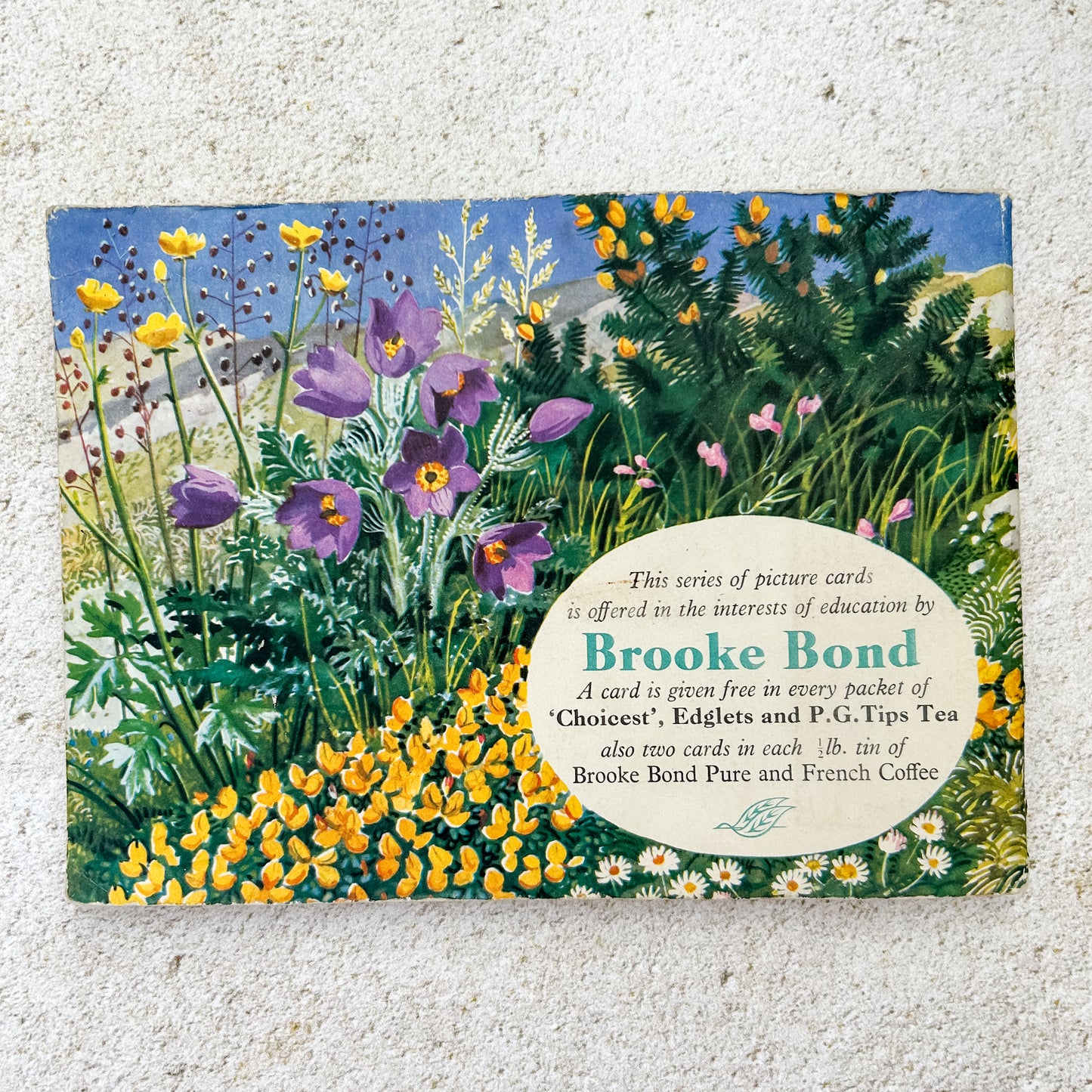 Vintage Brooke Bond Wild Flowers Tea Card Album with Set Cards
