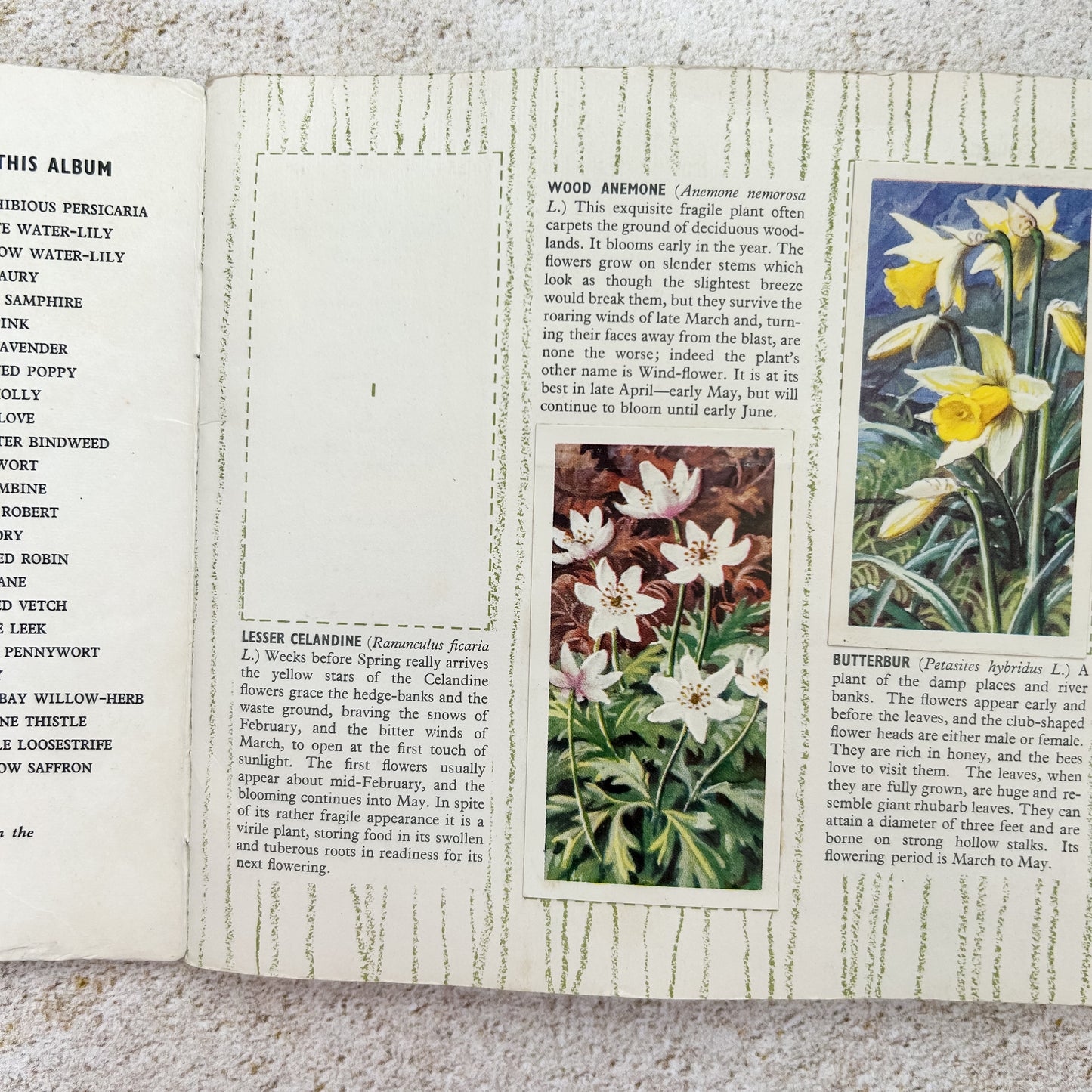 Vintage Brooke Bond Wild Flowers Tea Card Album with Set Cards