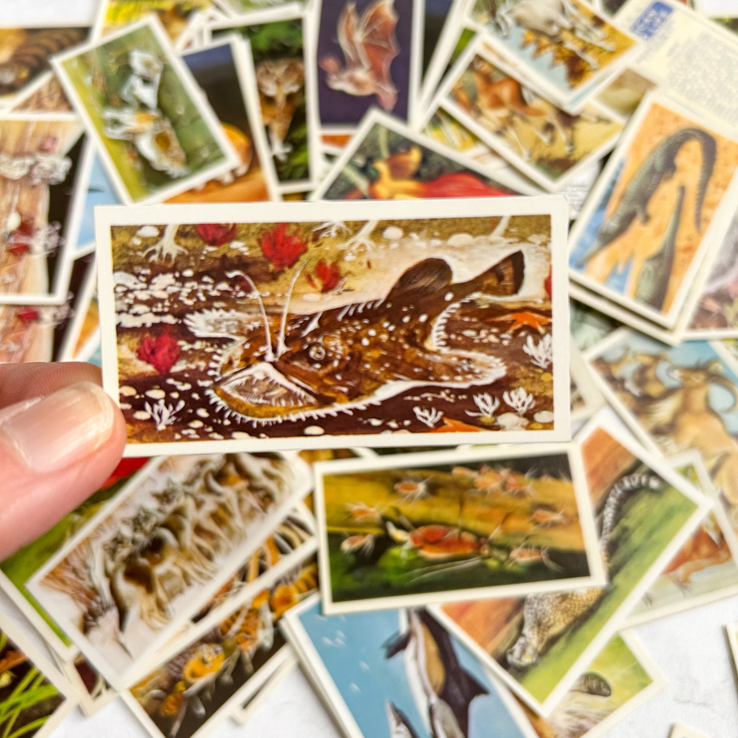 Set 10 Vintage Brooke Bond Tea Cards Wildlife